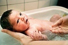 Cách tắm cho trẻ sơ sinh bằng lá kinh giới
